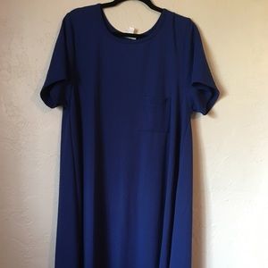 NWOT Carly Swing Dress
